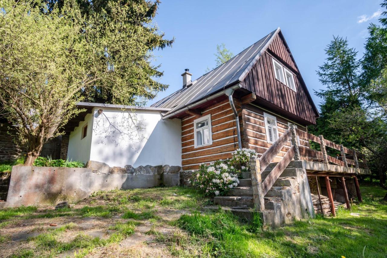 Roubenka Mustelka Apartamento Rokytnice nad Jizerou Exterior foto