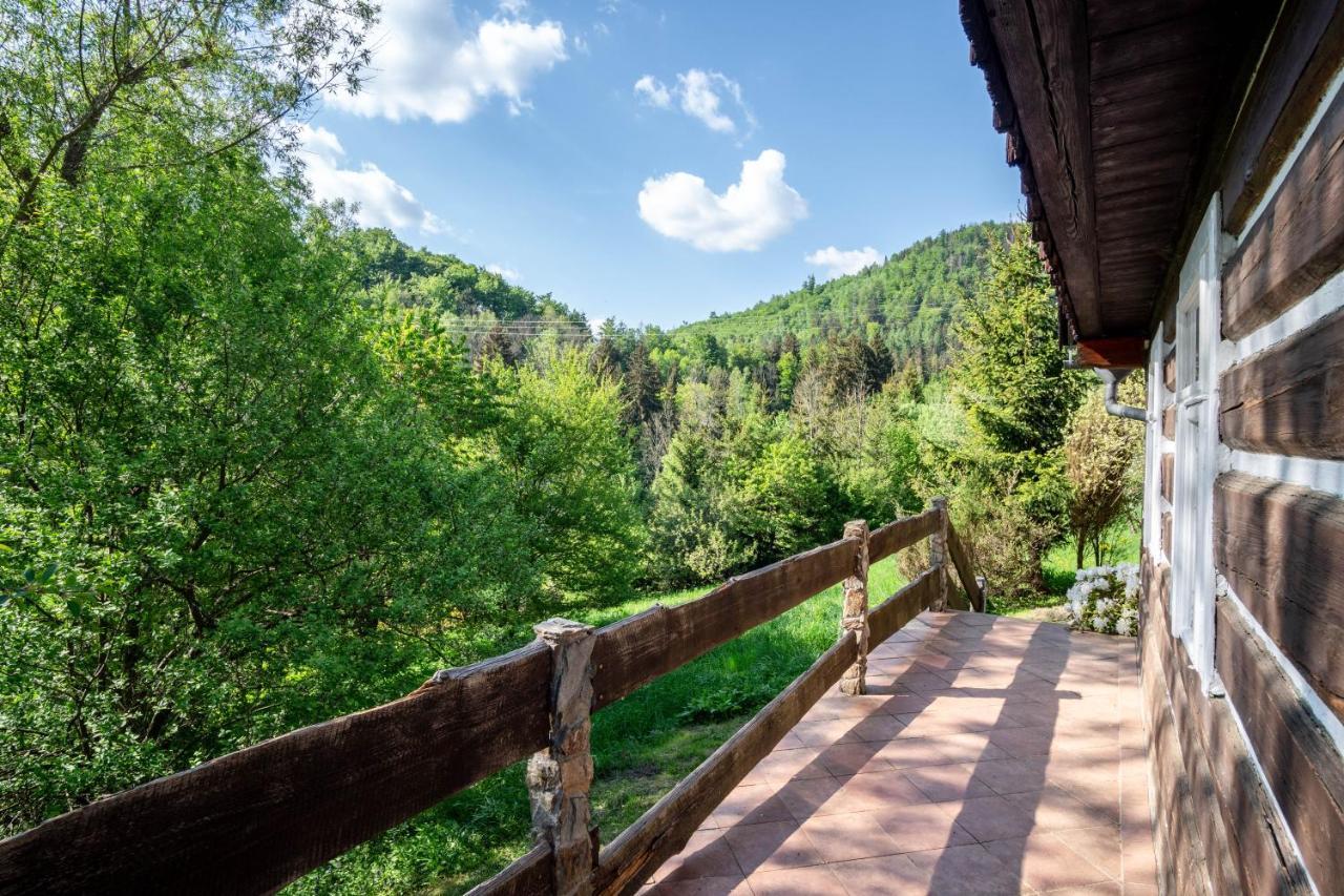 Roubenka Mustelka Apartamento Rokytnice nad Jizerou Exterior foto
